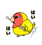 ペパコミスタンプ(修正版)（個別スタンプ：11）