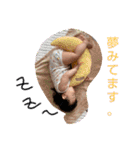 叔母妹のゆなちゃん。パートⅡ（個別スタンプ：31）