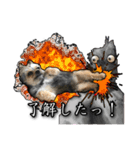 あんずの陶犬瓦鶏スタンプ（個別スタンプ：4）