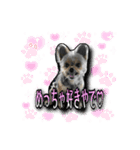 あんずの陶犬瓦鶏スタンプ（個別スタンプ：8）