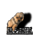 あんずの陶犬瓦鶏スタンプ（個別スタンプ：21）