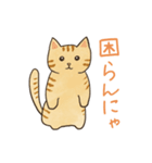 にゃんにゃん茶トラ猫（個別スタンプ：9）