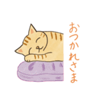 にゃんにゃん茶トラ猫（個別スタンプ：37）