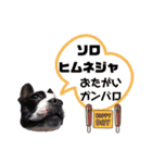 気付けば覚えちゃってる楽チン韓国語⑤（個別スタンプ：19）