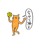 ハンドボールねこ（個別スタンプ：11）