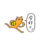 ハンドボールねこ（個別スタンプ：15）