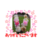 LUNA＆SEAです！！ありがとー！！（個別スタンプ：1）