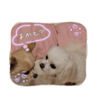 LUNA＆SEAです！！ありがとー！！（個別スタンプ：2）