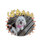LUNA＆SEAです！！ありがとー！！（個別スタンプ：4）