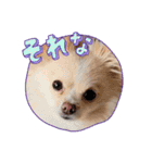 LUNA＆SEAです！！ありがとー！！（個別スタンプ：7）