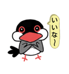 桜文鳥のスタンプです（個別スタンプ：12）