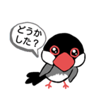 桜文鳥のスタンプです（個別スタンプ：20）