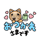 Momo 6th Birthday（個別スタンプ：2）
