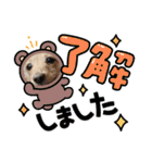 Momo 6th Birthday（個別スタンプ：3）