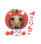 Momo 6th Birthday（個別スタンプ：5）