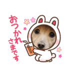 Momo 6th Birthday（個別スタンプ：9）