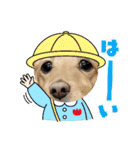 Momo 6th Birthday（個別スタンプ：10）