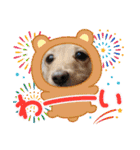 Momo 6th Birthday（個別スタンプ：12）