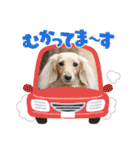 Momo 6th Birthday（個別スタンプ：21）