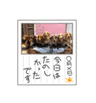 Momo 6th Birthday（個別スタンプ：31）