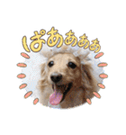 Momo 6th Birthday（個別スタンプ：34）