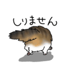うちのこスタンプ【猫】（個別スタンプ：11）