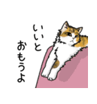 うちのこスタンプ【猫】（個別スタンプ：15）