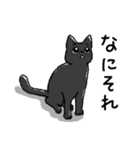 うちのこスタンプ【猫】（個別スタンプ：17）