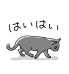 うちのこスタンプ【猫】（個別スタンプ：27）