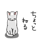 うちのこスタンプ【猫】（個別スタンプ：36）