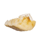 食品シリーズ : タラ料理（個別スタンプ：2）