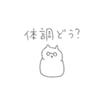 白猫と変身した白猫（個別スタンプ：3）