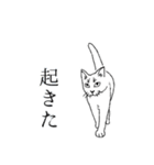 白猫と変身した白猫（個別スタンプ：11）
