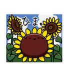 つぶわん・こしわん（個別スタンプ：18）