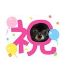 くぅさんだらけのスタンプ（個別スタンプ：1）