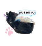 くぅさんだらけのスタンプ（個別スタンプ：24）