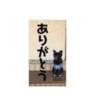 くぅさんだらけのスタンプ（個別スタンプ：31）