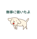 白犬の動くスタンプ（個別スタンプ：13）