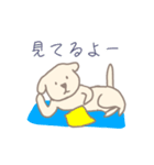 白犬の動くスタンプ（個別スタンプ：14）