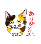 nekotenにゃんこ 2（個別スタンプ：1）