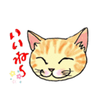 nekotenにゃんこ 2（個別スタンプ：2）