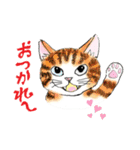 nekotenにゃんこ 2（個別スタンプ：3）