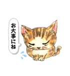 nekotenにゃんこ 2（個別スタンプ：10）