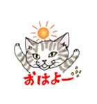 nekotenにゃんこ 2（個別スタンプ：12）