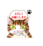 nekotenにゃんこ 2（個別スタンプ：16）