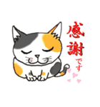 nekotenにゃんこ 2（個別スタンプ：17）