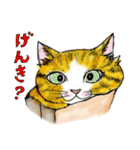 nekotenにゃんこ 2（個別スタンプ：18）