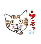 nekotenにゃんこ 2（個別スタンプ：25）