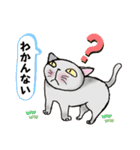 nekotenにゃんこ 2（個別スタンプ：29）