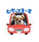 Lana 2nd Birthday（個別スタンプ：7）